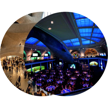 Individual Combi Ticket Awards Ceremony & Patient Summit