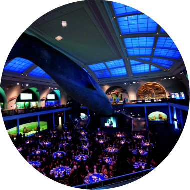 10 Additional Tickets to the Awards Ceremony USA 2026